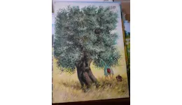 Aste giudiziarie mobiliari online - 6.0