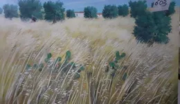 Aste giudiziarie mobiliari online - 3.0