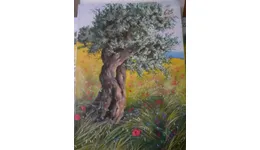 Aste giudiziarie mobiliari online - 11.0