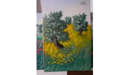 Aste giudiziarie mobiliari online - 11.0