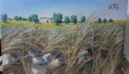 Aste giudiziarie mobiliari online - 8.0