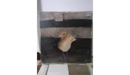 Aste giudiziarie mobiliari online - 1.0