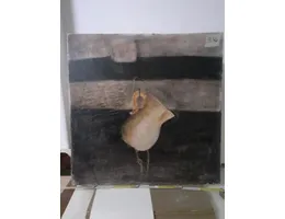 Aste giudiziarie mobiliari online - 1.0