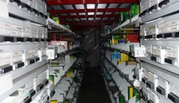 Aste giudiziarie mobiliari online - 4.0