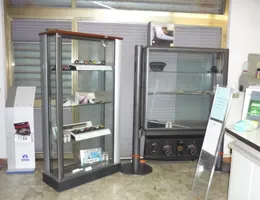 Aste giudiziarie mobiliari online - 6.0