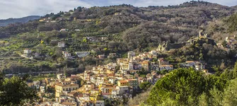 Aste giudiziarie immobiliari e fallimentari online - 1.1